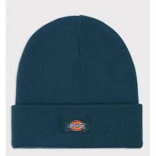 DICKIES GORRO GIBSLAND BLUE
