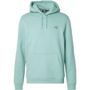 DICKIES SUDADERA CAPUCHA HOMBRE OAKPORT TURQUOISE