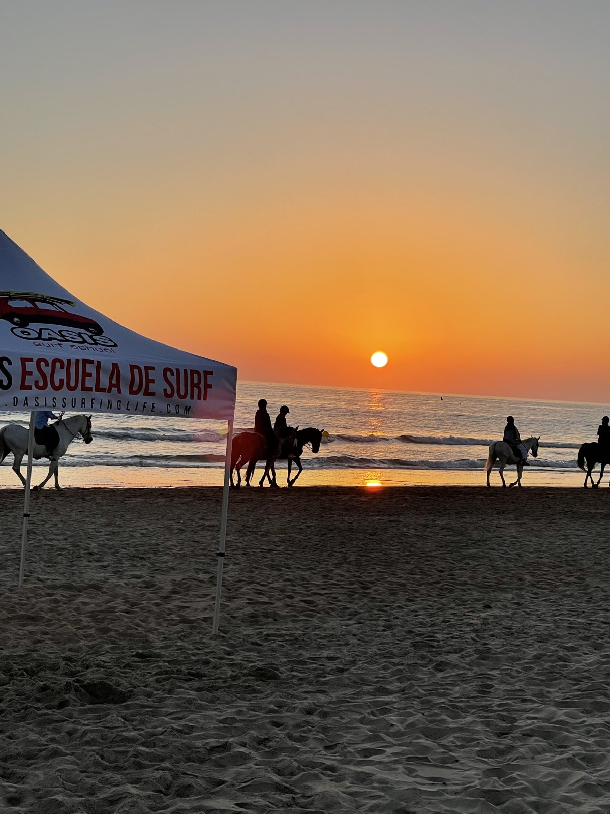 caballos-atardecer-oasis-surf-school